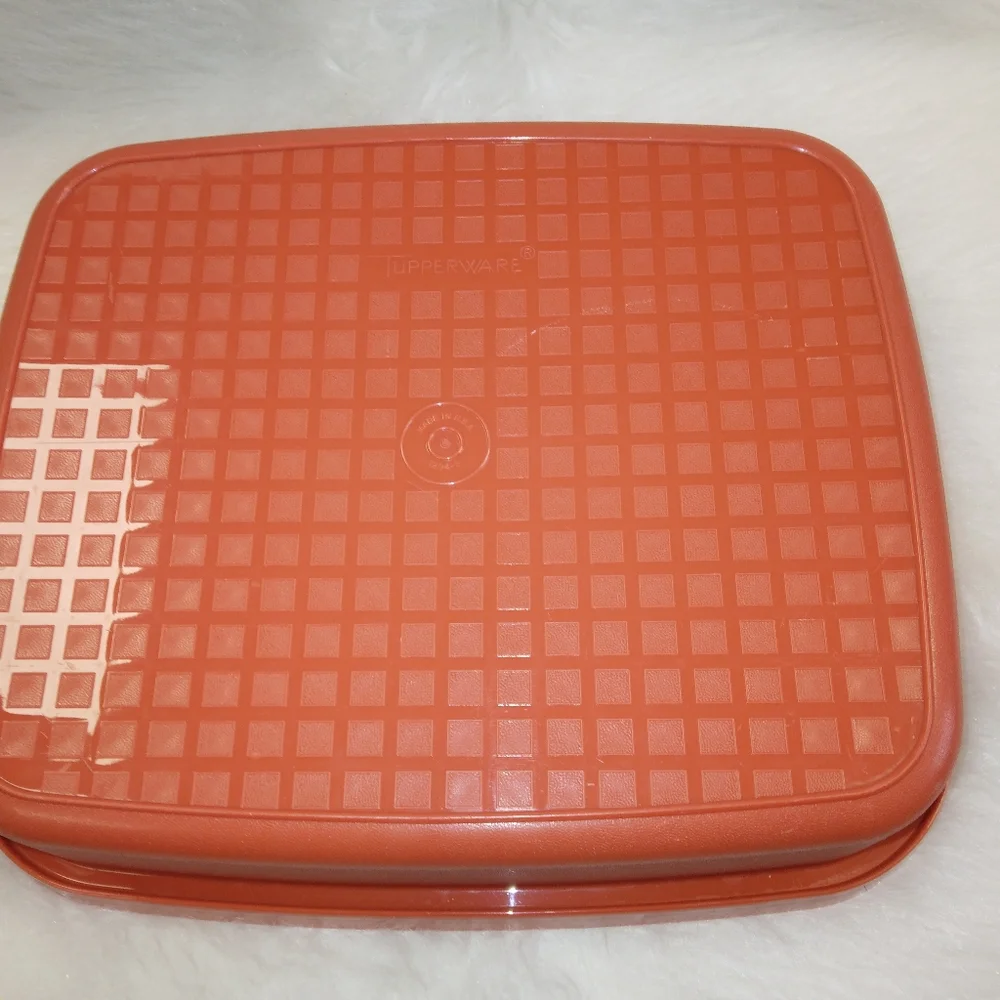 TUPPERWARE Large Season Serve Meat Marinator Container